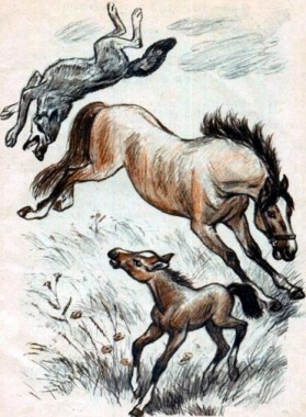 Нерозумний вовк - таджицька казка - Безкоштовні електронні книги на українській мові: читай онлайн та скачуй