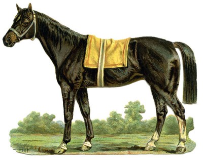 Кінь і ведмідь - латиська казка - Безкоштовні електронні книги на українській мові: читай онлайн та скачуй