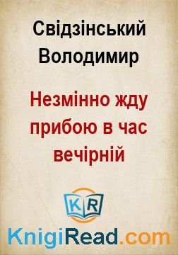 Незмінно жду прибою в час вечірній - Свідзінський Володимир - Безкоштовні електронні книги на українській мові: читай онлайн та скачуй