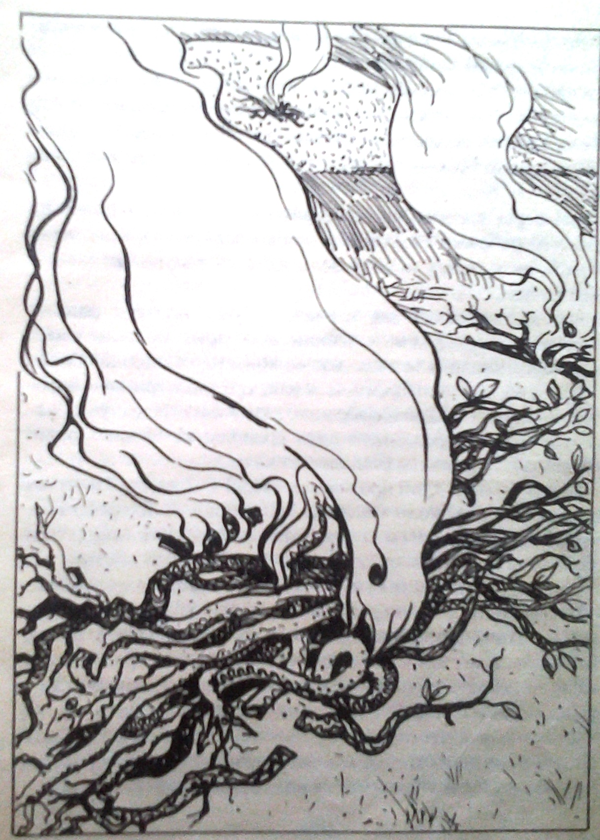 Казка про Хоробрих з Найхоробріших - Микола Ніканорович Магера - Безкоштовні електронні книги на українській мові: читай онлайн та скачуй