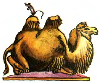 Миша та верблюд - бурятська казка - Безкоштовні електронні книги на українській мові: читай онлайн та скачуй