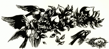 Зозуля і риба - болгарська казка - Безкоштовні електронні книги на українській мові: читай онлайн та скачуй