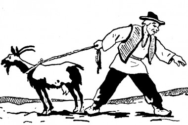 Кмітливий Мартин - українські народні - Безкоштовні електронні книги на українській мові: читай онлайн та скачуй